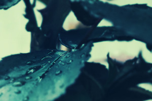 网球选手们挥洒汗水，全运数据榜上的实力比拼